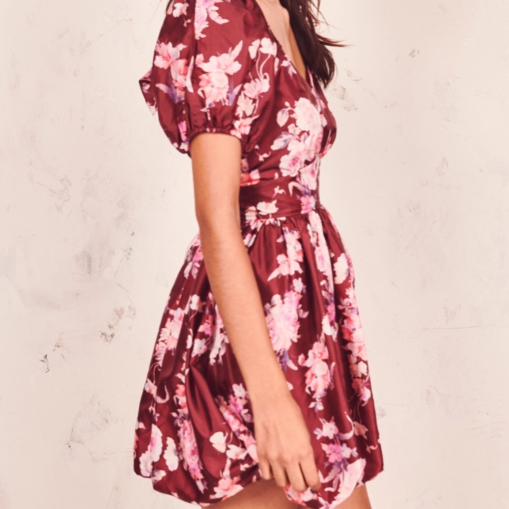 UFT/UFS Hansel Puff Sleeve Dress Oxblood - Picture 8 of 10